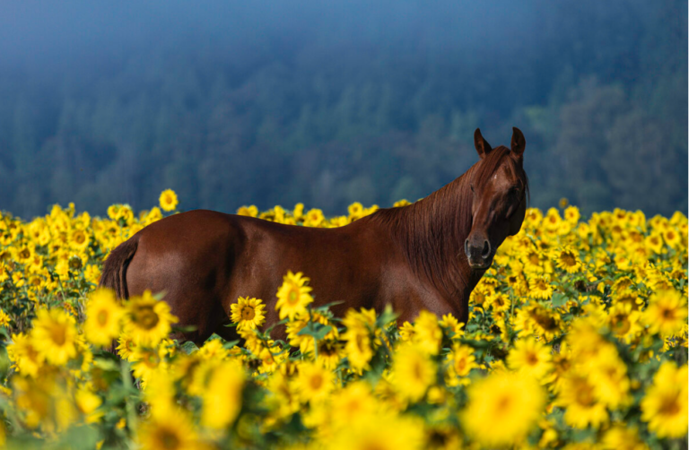 Screenshot 2024 10 30 at 10.20.02 AM 768x502